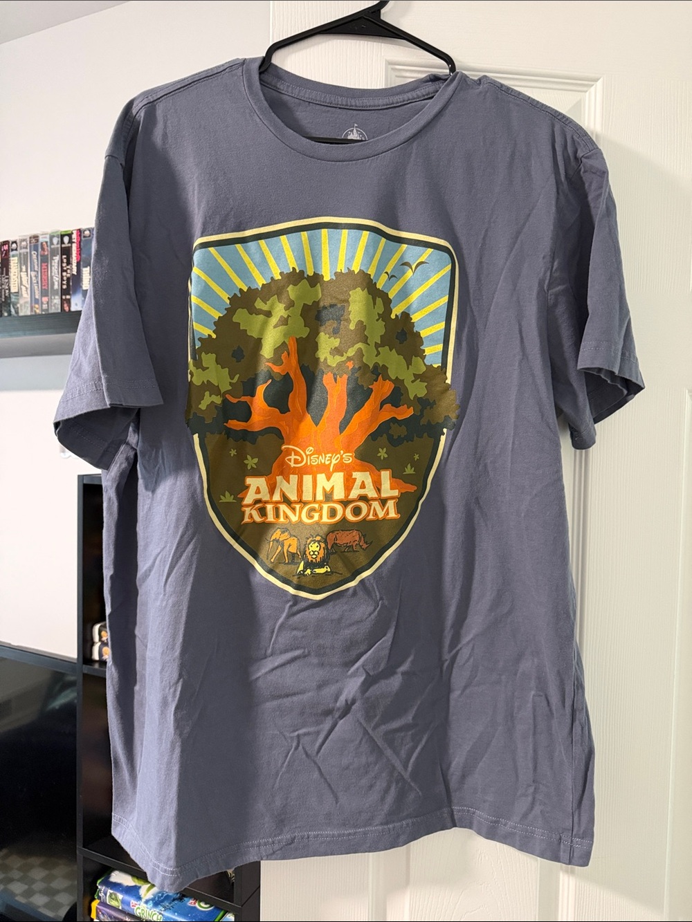 Disney Animal Kingdom Men's Graphic Tee - Slate Blue with Orange & Green Print